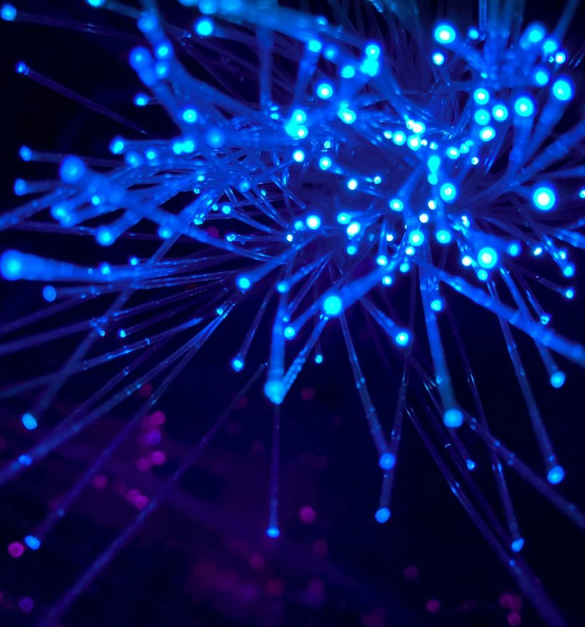 purple and blue light digital wallpaper